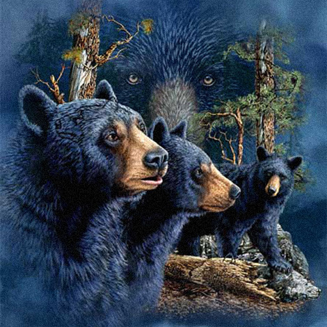 Чёрные медведи-барибалы :: картина-загадка :: Стивен Гарднер