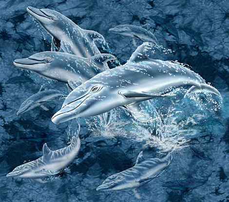 Дельфины (17) :: картина-загадка :: Стивен Гарднер