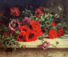 Маки (Poppies) :: William Jabez Muckley, 1870 год (маковый, фанданго…)
