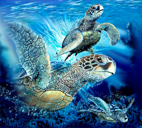 Морские черепахи (9) :: картина-загадка :: Стивен Гарднер