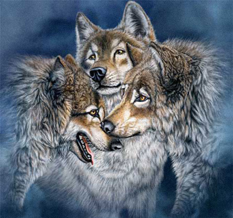 Волки :: картина-загадка :: Стивен Гарднер